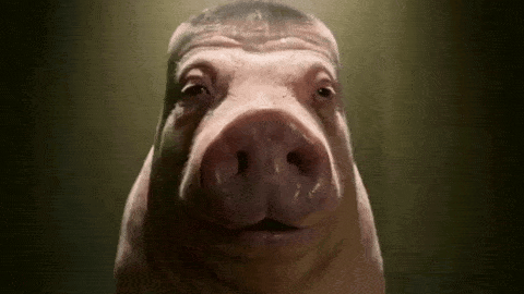marrano
